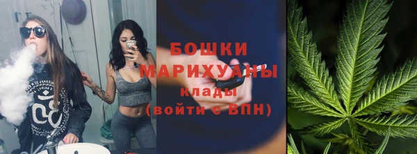 дживик Верхний Тагил