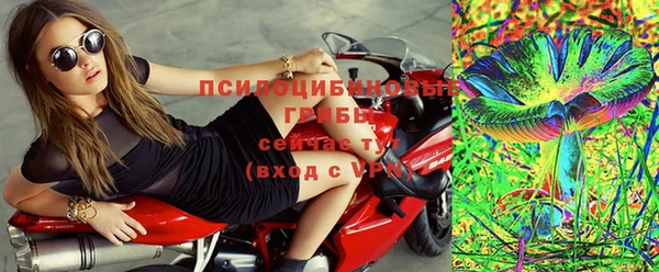 ПСИЛОЦИБИНОВЫЕ ГРИБЫ Верея