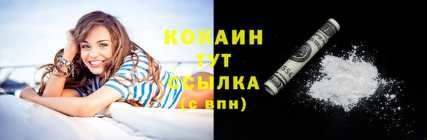 твердый Богородицк