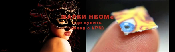 прущие грибы Верхнеуральск