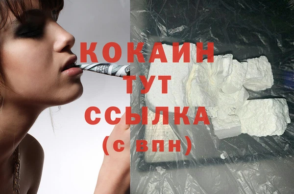 ПСИЛОЦИБИНОВЫЕ ГРИБЫ Верея