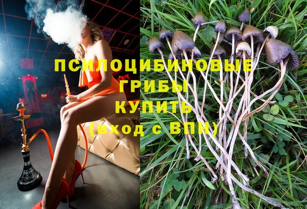 дживик Верхний Тагил