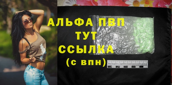 дживик Верхний Тагил