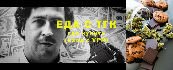 дживик Верхний Тагил