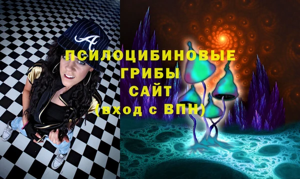 ПСИЛОЦИБИНОВЫЕ ГРИБЫ Верея