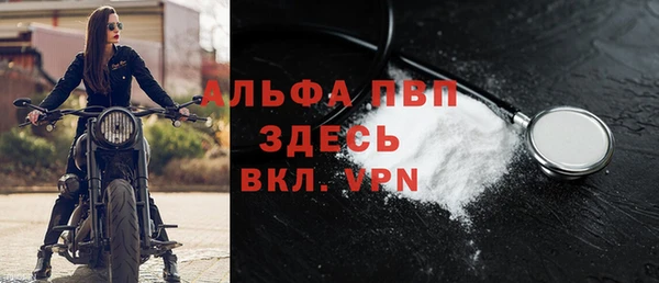 spice Богданович
