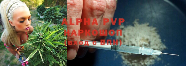 прущие грибы Верхнеуральск