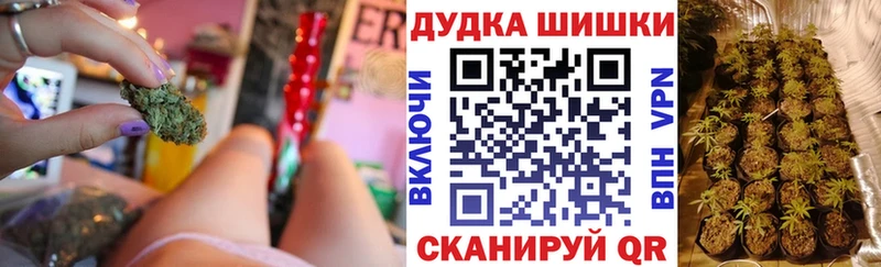 Бошки марихуана марихуана  Дорогобуж 
